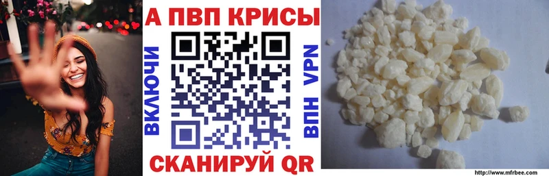 Альфа ПВП СК  Бакал 