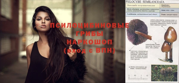 mdpv Остров