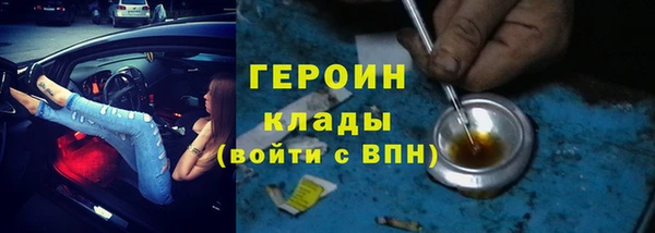 прущие грибы Аркадак