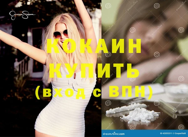 шишки Лабытнанги