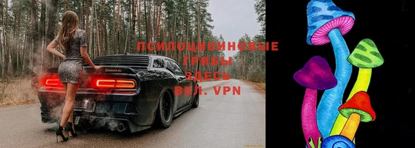 МДПВ Осташков