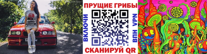 Псилоцибиновые грибы Psilocybine cubensis  KRAKEN зеркало  Бакал 